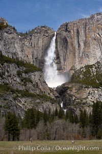 Upper Yosemite Falls near peak flow in spring.  Yosemite Falls, at 2425 feet tall (730m) is the tallest waterfall in North America and fifth tallest in the world.  Yosemite Valley, Yosemite National Park, California