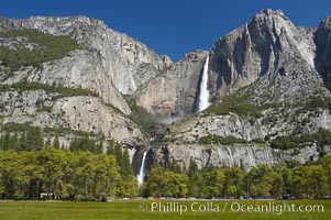 Yosemite Falls rises above Cooks Meadow.  The 2425 falls, the tallest in North America, is at peak flow during a warm-weather springtime melt of Sierra snowpack.  Yosemite Valley, Yosemite National Park, California