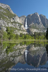 Yosemite Falls is reflected in a springtime pool in flooded Cooks Meadow, Yosemite Valley, Yosemite National Park, California