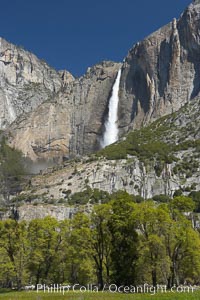 Yosemite Falls rises above Cooks Meadow.  The 2425 falls, the tallest in North America, is at peak flow during a warm-weather springtime melt of Sierra snowpack.  Yosemite Valley, Yosemite National Park, California