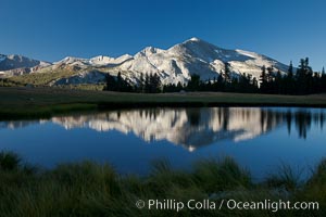 Mammoth Peak and meadow tarn reflection, sunrise, Tuolumne Meadows, Yosemite National Park.