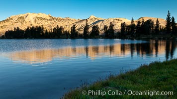 Choo-choo Ridge (11357') is reflected in Townsley Lake (10,353') at sunrise, Yosemite National Park, California