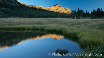 A Sierra Nevada Peak reflected in small tarn (pond), near Tioga Pass, Yosemite National Park, California