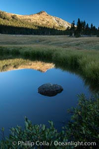 A Sierra Nevada Peak reflected in small tarn (pond), near Tioga Pass.  Yosemite National Park.