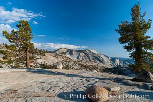 Trees cling to the granite surroundings of Olmsted Point. Clouds Rest is seen in the distance, Yosemite National Park, California