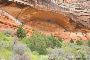 Natural arch formed in red Navaho sandstone cliffs, Zion Canyon, Zion National Park, Utah