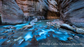 The Virgin River Narrows, where the Virgin River has carved deep, narrow canyons through the Zion National Park sandstone, creating one of the finest hikes in the world