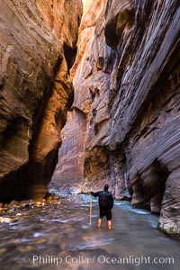 The Virgin River Narrows, where the Virgin River has carved deep, narrow canyons through the Zion National Park sandstone, creating one of the finest hikes in the world