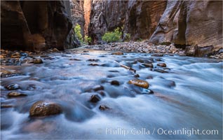 The Virgin River Narrows, where the Virgin River has carved deep, narrow canyons through the Zion National Park sandstone, creating one of the finest hikes in the world