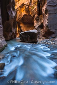 The Virgin River Narrows, where the Virgin River has carved deep, narrow canyons through the Zion National Park sandstone, creating one of the finest hikes in the world