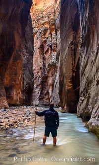 The Virgin River Narrows, where the Virgin River has carved deep, narrow canyons through the Zion National Park sandstone, creating one of the finest hikes in the world