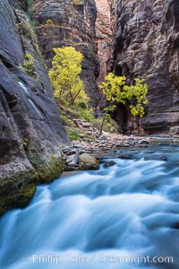 The Virgin River Narrows, where the Virgin River has carved deep, narrow canyons through the Zion National Park sandstone, creating one of the finest hikes in the world