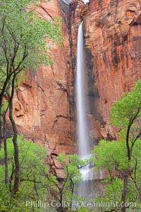 Waterfall at Temple of Sinawava during peak flow following spring rainstorm.  Zion Canyon.