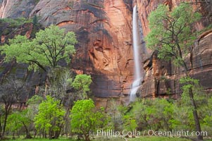 Waterfall at Temple of Sinawava during peak flow following spring rainstorm.  Zion Canyon.