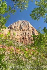 Red sandstone peaks above the Parus trail in Zion National Park.