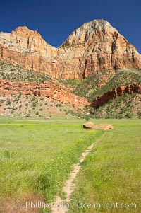 Red sandstone peaks above the Parus trail in Zion National Park