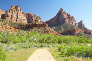 Red sandstone peaks above the Parus trail in Zion National Park.