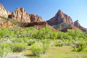 Red sandstone peaks above the Parus trail in Zion National Park