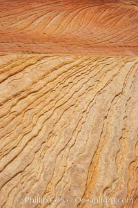 Navajo sandstone forms the cliffs and walls of Zion National Park. The sandstone reaches a thickness of 2300 feet and consists of ancient cemented desert sand dunes. Horizontal lines, commonly called crossbedding, represent layers of wind-blown sand that built up into sand dunes. These dunes were then buried, and the sand grains glued together by calcite and iron oxide to form sandstone