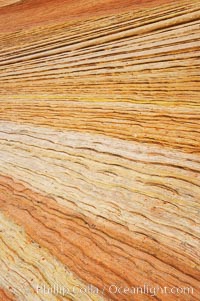 Navajo sandstone forms the cliffs and walls of Zion National Park. The sandstone reaches a thickness of 2300 feet and consists of ancient cemented desert sand dunes. Horizontal lines, commonly called crossbedding, represent layers of wind-blown sand that built up into sand dunes. These dunes were then buried, and the sand grains glued together by calcite and iron oxide to form sandstone