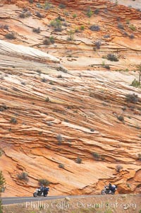 Navajo sandstone forms the cliffs and walls of Zion National Park. The sandstone reaches a thickness of 2300 feet and consists of ancient cemented desert sand dunes. Horizontal lines, commonly called crossbedding, represent layers of wind-blown sand that built up into sand dunes. These dunes were then buried, and the sand grains glued together by calcite and iron oxide to form sandstone