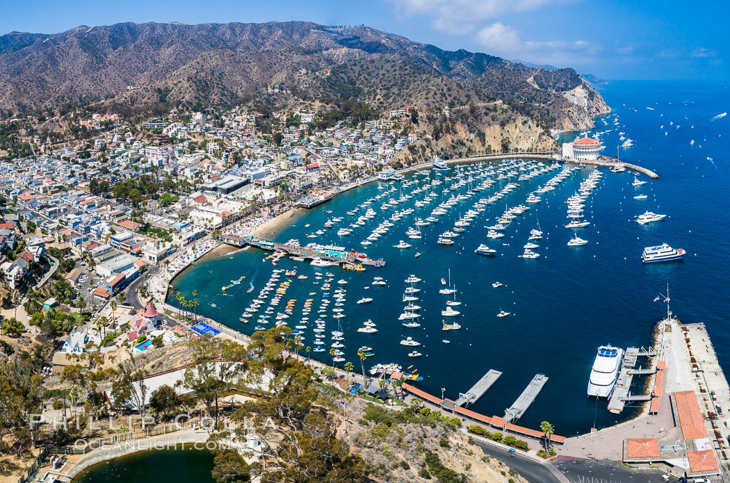 Aerial Photo of Avalon and Catalina Island. California, USA, natural history stock photograph, photo id 38088