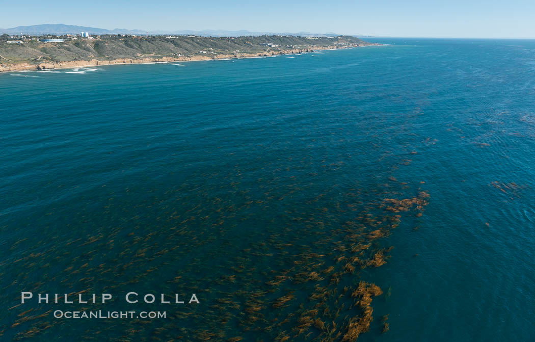 Aerial Photo of Kelp Forests at Cabrillo State Marine Reserve, Point Loma, San Diego. California, USA, natural history stock photograph, photo id 30697