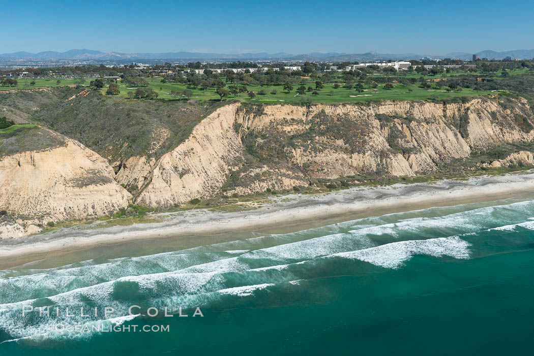 Torrey Pines seacliffs, rising up to 300 feet above the ocean, stretch from Del Mar to La Jolla. On the mesa atop the bluffs are found Torrey pine trees, one of the rare species of pines in the world. Torrey Pines State Reserve, San Diego, California, USA, natural history stock photograph, photo id 30674