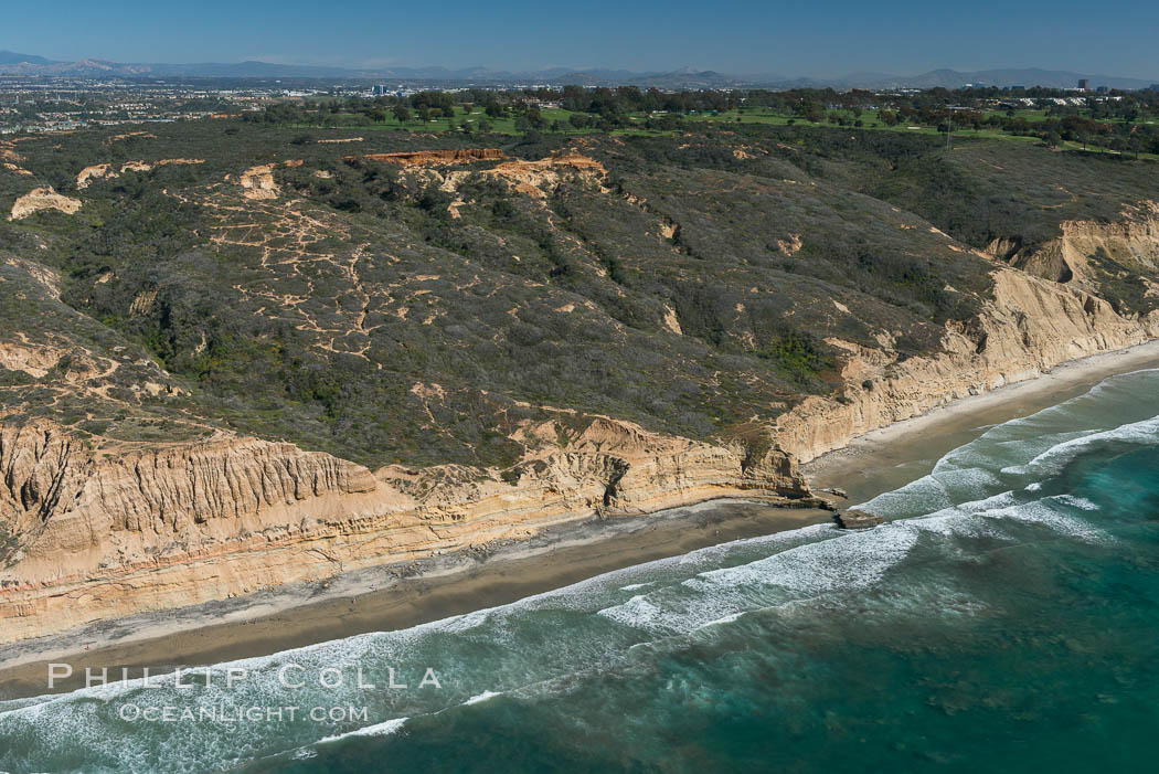 Torrey Pines seacliffs, rising up to 300 feet above the ocean, stretch from Del Mar to La Jolla. On the mesa atop the bluffs are found Torrey pine trees, one of the rare species of pines in the world. Torrey Pines State Reserve, San Diego, California, USA, natural history stock photograph, photo id 30672