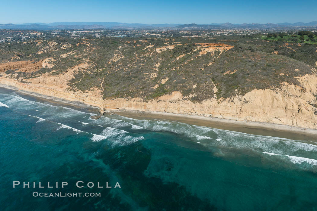 Torrey Pines seacliffs, rising up to 300 feet above the ocean, stretch from Del Mar to La Jolla. On the mesa atop the bluffs are found Torrey pine trees, one of the rare species of pines in the world. Torrey Pines State Reserve, San Diego, California, USA, natural history stock photograph, photo id 30673