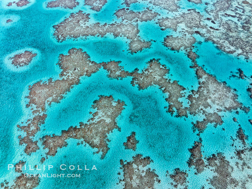 Aerial View of the extensive coral reefs offshore of Rakiraki, Fiji Islands. Viti Levu Island, natural history stock photograph, photo id 41041