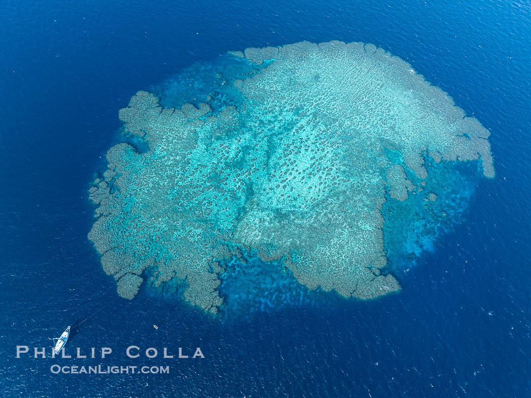 Aerial View of the Famous Deepwater Bommie E6, Fiji., natural history stock photograph, photo id 41101