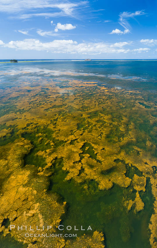 Aerial view of the lagoon inside Clipperton Island.  The lagoon within the atoll was formerly open to the ocean but has been closed and stagnant for many decades. Some experts believe erosion will open the lagoon up to the ocean again soon. Clipperton Island, a minor territory of France also known as Ile de la Passion, is a spectacular coral atoll in the eastern Pacific. By permit HC / 1485 / CAB (France)., natural history stock photograph, photo id 32884