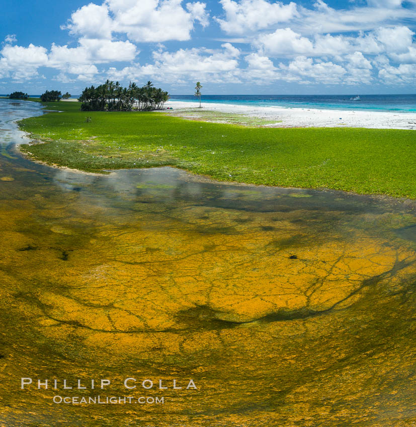 Aerial view of the lagoon inside Clipperton Island.  The lagoon within the atoll was formerly open to the ocean but has been closed and stagnant for many decades. Some experts believe erosion will open the lagoon up to the ocean again soon. Clipperton Island, a minor territory of France also known as Ile de la Passion, is a spectacular coral atoll in the eastern Pacific. By permit HC / 1485 / CAB (France)., natural history stock photograph, photo id 32879