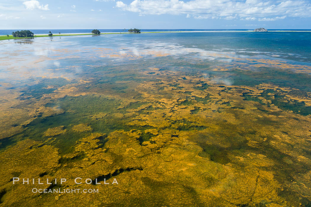 Aerial view of the lagoon inside Clipperton Island.  The lagoon within the atoll was formerly open to the ocean but has been closed and stagnant for many decades. Some experts believe erosion will open the lagoon up to the ocean again soon. Clipperton Island, a minor territory of France also known as Ile de la Passion, is a spectacular coral atoll in the eastern Pacific. By permit HC / 1485 / CAB (France)., natural history stock photograph, photo id 32885