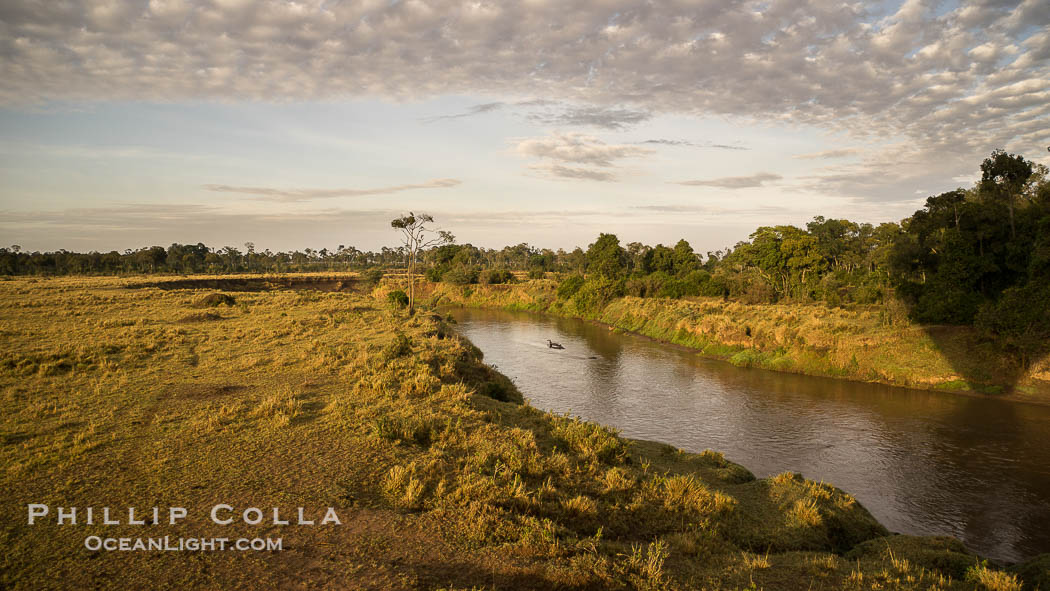 Aerial view of the Mara River, Maasai Mara, Kenya.  Photo taken while hot air ballooning at sunrise., natural history stock photograph, photo id 29810