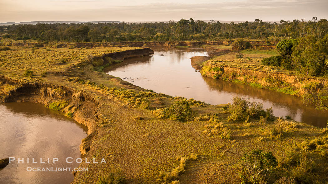 Aerial view of the Mara River, Maasai Mara, Kenya.  Photo taken while hot air ballooning at sunrise., natural history stock photograph, photo id 29814