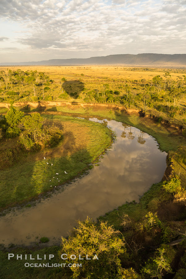 Aerial view of the Mara River, Maasai Mara, Kenya.  Photo taken while hot air ballooning at sunrise., natural history stock photograph, photo id 29818