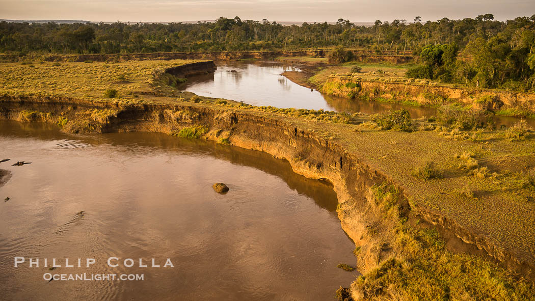 Aerial view of the Mara River, Maasai Mara, Kenya.  Photo taken while hot air ballooning at sunrise., natural history stock photograph, photo id 29812