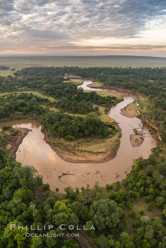 Aerial view of the Mara River with crocodiles and hippos, Maasai Mara, Kenya.  Photo taken while hot air ballooning at sunrise. Maasai Mara National Reserve, natural history stock photograph, photo id 29803