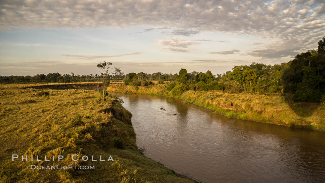 Aerial view of the Mara River, Maasai Mara, Kenya.  Photo taken while hot air ballooning at sunrise., natural history stock photograph, photo id 29811