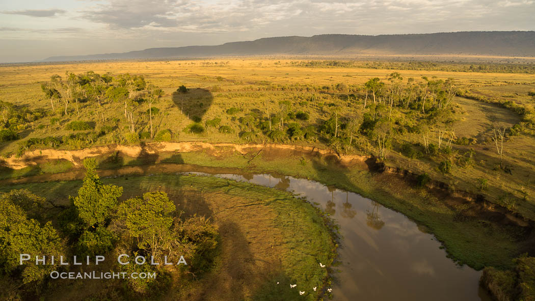 Aerial view of the Mara River, Maasai Mara, Kenya.  Photo taken while hot air ballooning at sunrise. Maasai Mara National Reserve, natural history stock photograph, photo id 29819