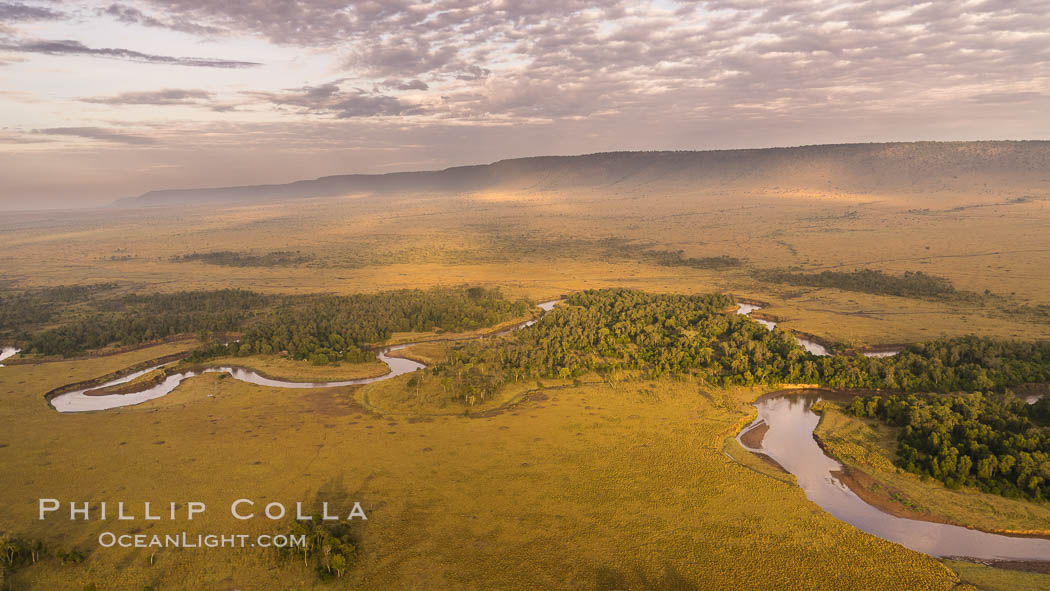 Aerial view of the Mara River, Maasai Mara, Kenya.  Photo taken while hot air ballooning at sunrise. Maasai Mara National Reserve, natural history stock photograph, photo id 29809