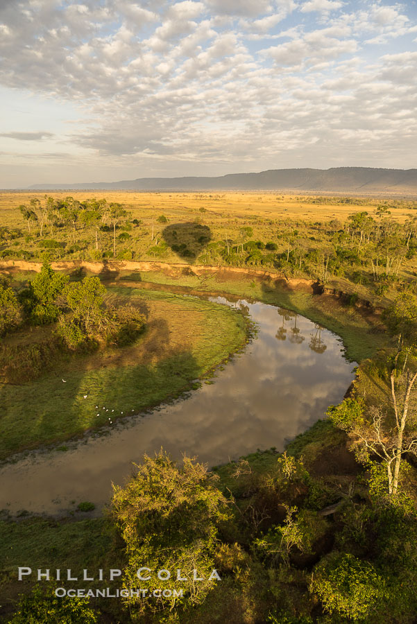 Aerial view of the Mara River, Maasai Mara, Kenya.  Photo taken while hot air ballooning at sunrise., natural history stock photograph, photo id 29817