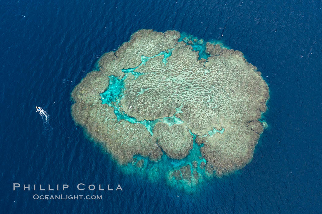 Aerial view of Mount Mutiny, a spectacular coral bommie in the Bligh Waters of Fiji, Vatu I Ra Passage