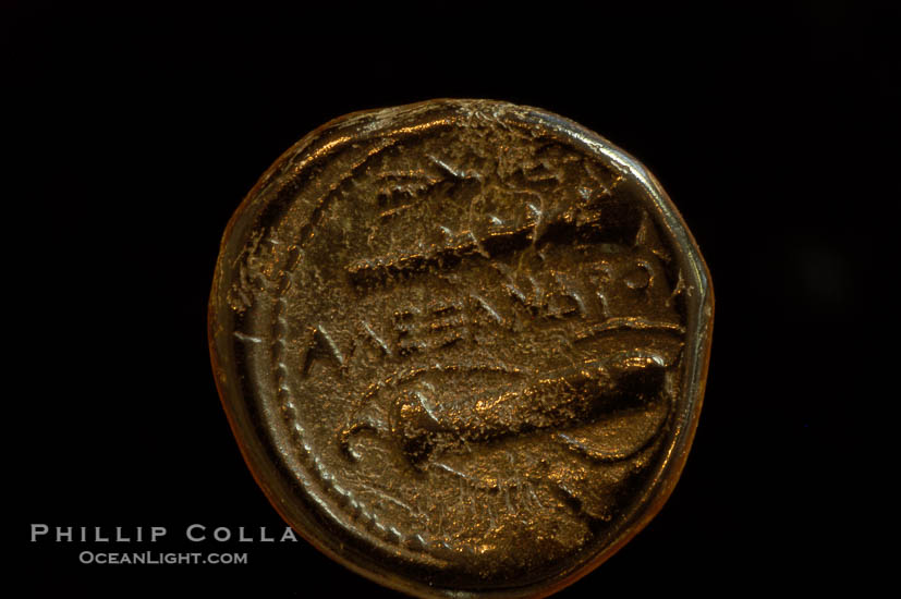 Alexander III (Alexander the Great) of Macedonia (336-323 B.C.), depicted on ancient Macedonian coin (bronze, denom/type: AE18) (AE18; SCG6741VAR)., natural history stock photograph, photo id 06746