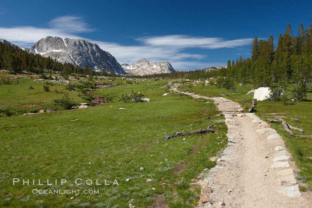 Alpine meadow and John Muir Trail, in Yosemite's high country on approach to Vogelsang High Sierra Camp. Yosemite National Park, California, USA, natural history stock photograph, photo id 23246