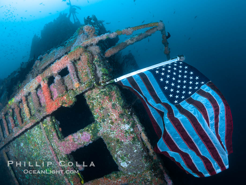 American Flag Flying Over The Wreck of the HMCS Yukon in San Diego.  Deliberately sunk in 2000 as part of San Diego's Wreck Alley to form an artifical reef, the HMCS Yukon is a 366-foot-long former Canadian destroyer.  It is encrusted with a variety of invertebrate life, including Cornyactis anemones which provide much of the color seen here. California, USA, natural history stock photograph, photo id 39476