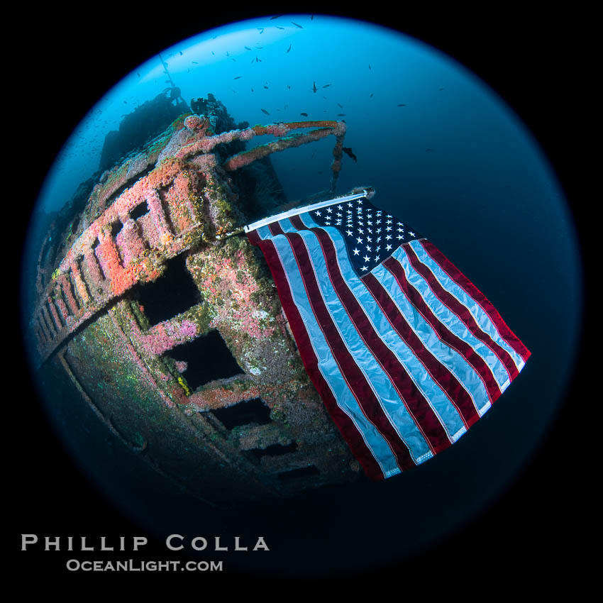 American Flag Flying Over The Wreck of the HMCS Yukon in San Diego.  Deliberately sunk in 2000 as part of San Diego's Wreck Alley to form an artifical reef, the HMCS Yukon is a 366-foot-long former Canadian destroyer.  It is encrusted with a variety of invertebrate life, including Cornyactis anemones which provide much of the color seen here. California, USA, natural history stock photograph, photo id 39477