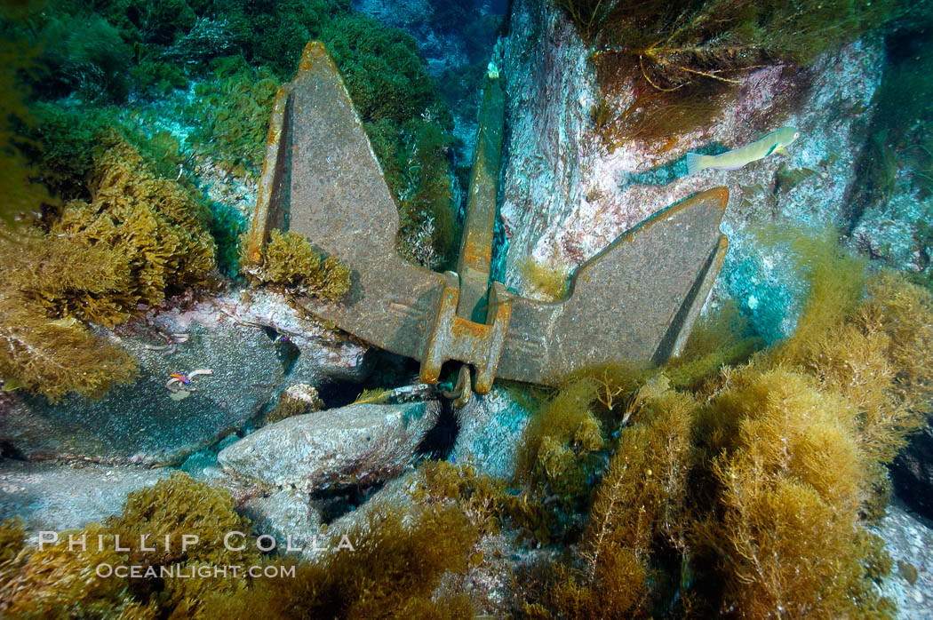 A boat anchor securely placed between underwater boulders. Guadalupe Island (Isla Guadalupe), Baja California, Mexico, natural history stock photograph, photo id 09580